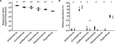 Exploring the Niche Concept in a Simple Metaorganism